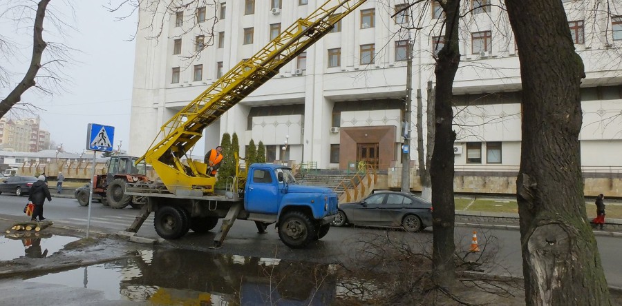 У Черкасах дерева готують до весни