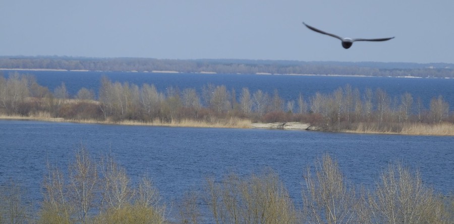 Черкаси прокинулись після зимової сплячки