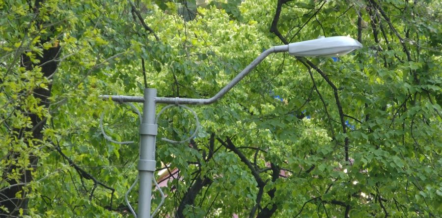 У сквері «Соборний» стане світліше