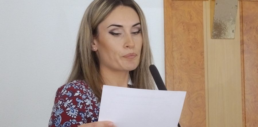 Керівниця ТОВ «Пресса От и До» вирішила повчити членів виконкому законів