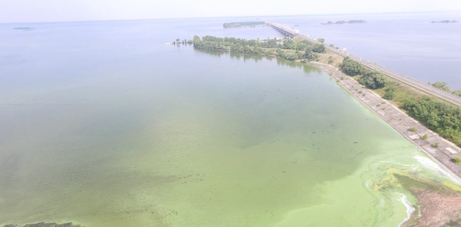 Елітна забудова на березі вбиває екологію Дніпра