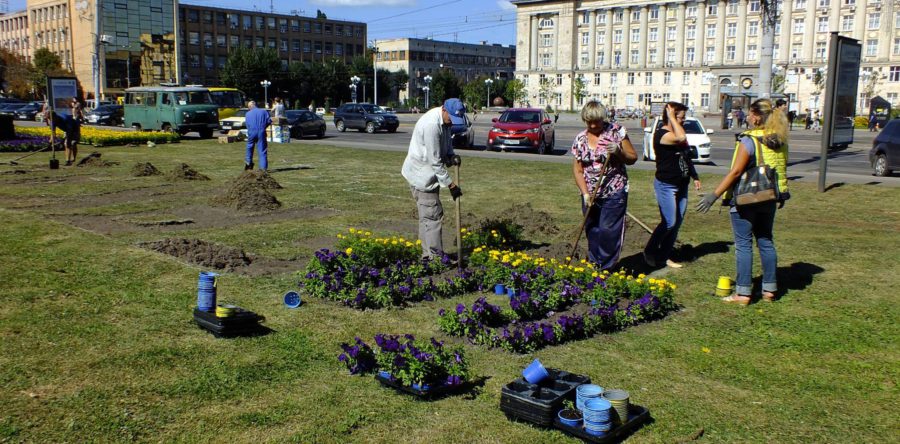 До дня народження Черкас створюють іменну клумбу