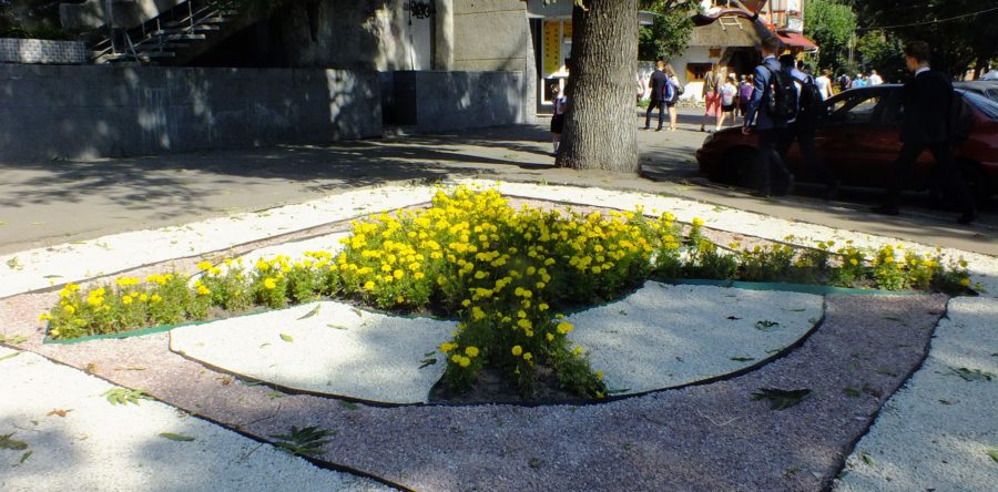 У Черкасах побільшало сонця