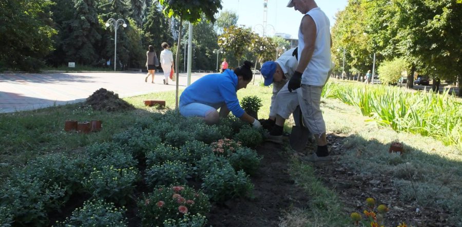 На Алеї Слави побільшає зелені та квітів