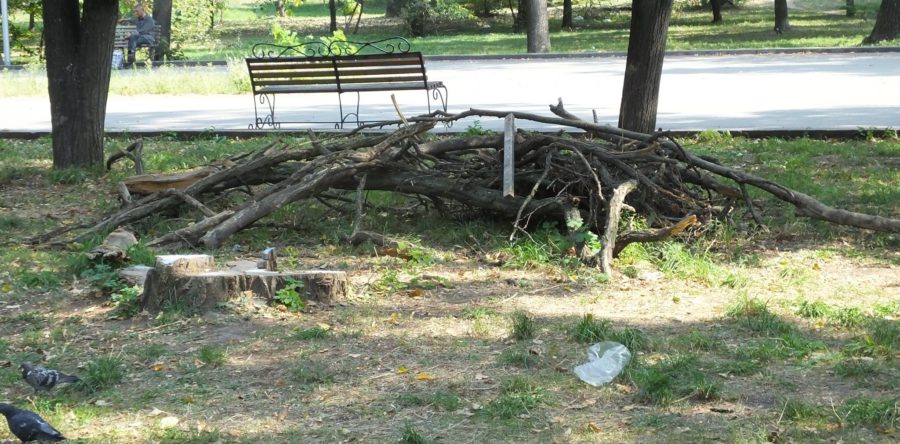 «Соборний» парк заполонили хащі та сміття