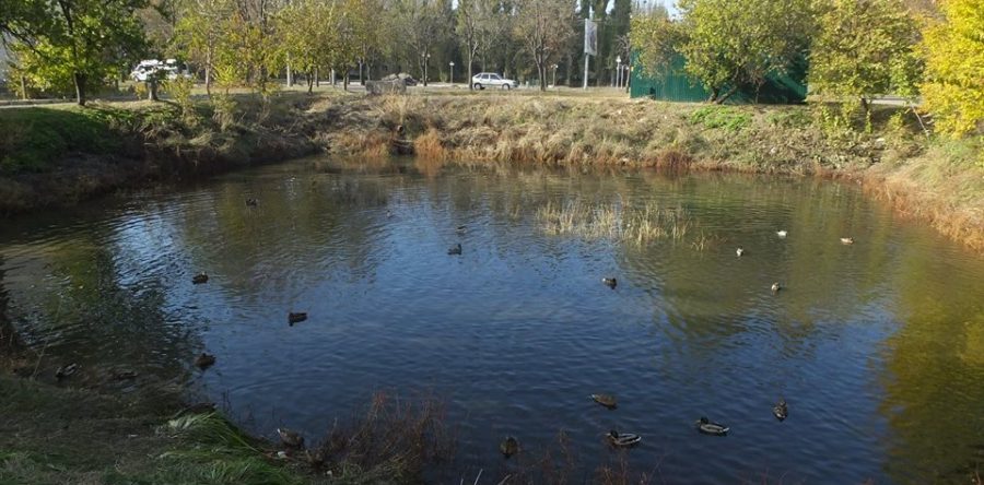 Осіння ідилія на штучному водоймищі