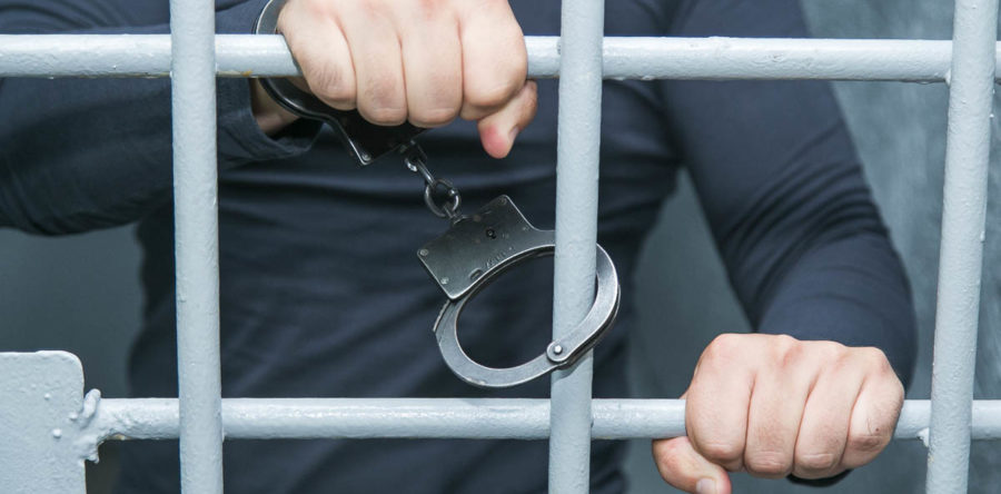 Затримано серійного крадія