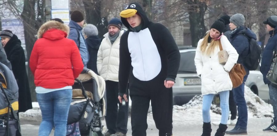У центрі Черкас розгулював пінгвін