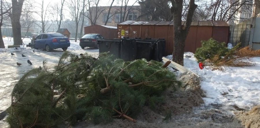 У Черкасах ялинки зі смітників відвезуть до зеленого господарства та зоопарку