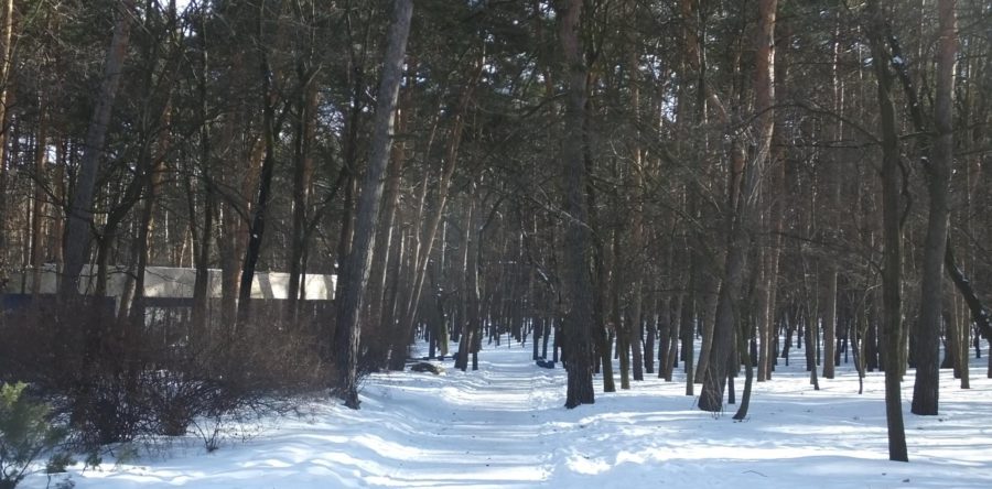 Черкаські парки в очікуванні весни