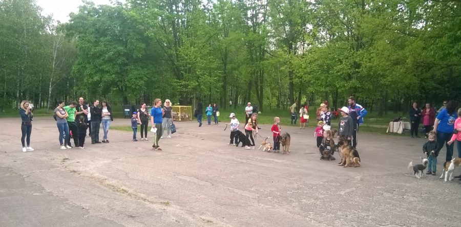 У парку Хіміків відбулась масштабна виставка собак