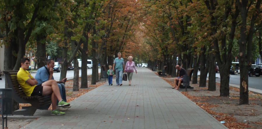 Передчасна осінь: на бульварі Шевченка пожовкли каштани