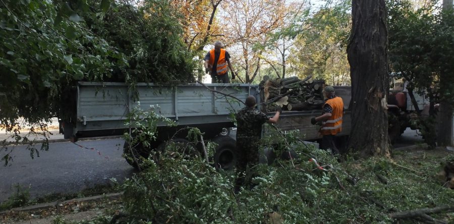 У центрі Черкас впало дерево і пошкодило лінії електропередач