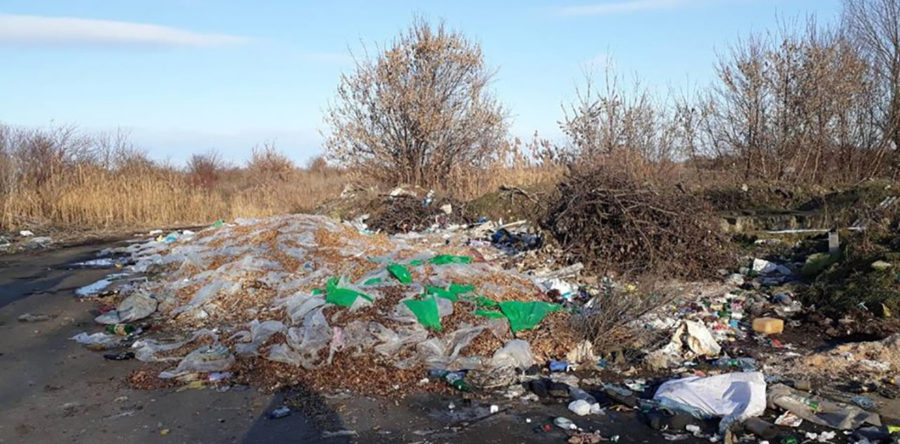 У Червоній Слободі невідомі викинули купу залишків птиці