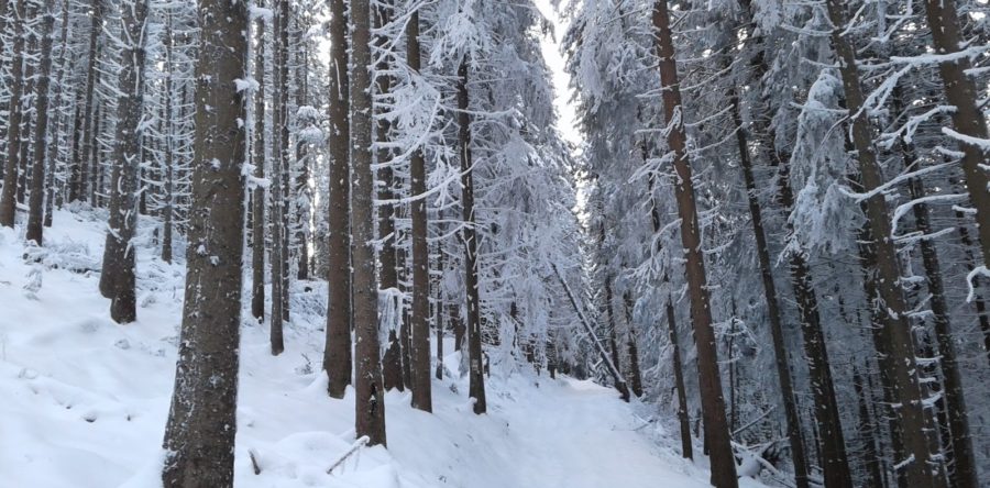 Зимова погода утримається щонайменше до 6 березня – гідрометцентр