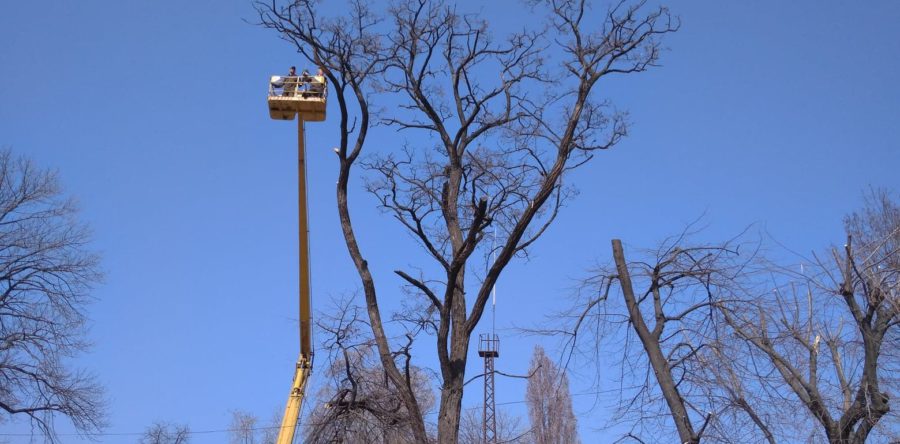 Біля черкаської Станції швидкої допомоги обрізають аварійні дерева