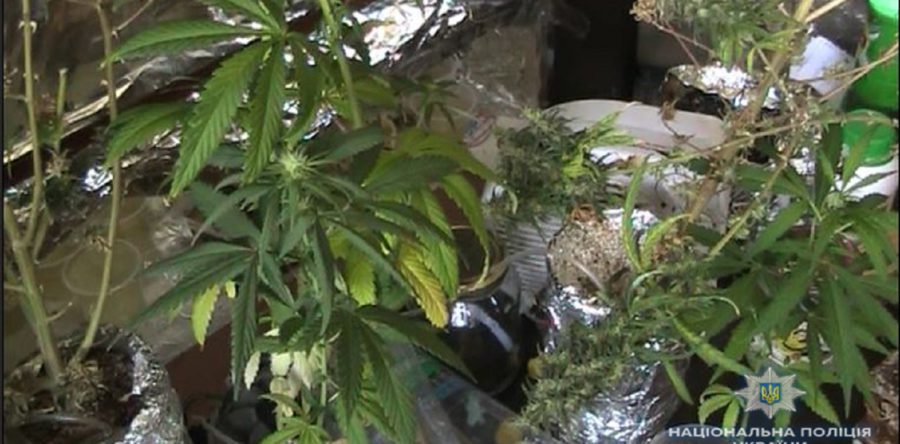 У Черкасах поліцейські прикрили наркобізнес