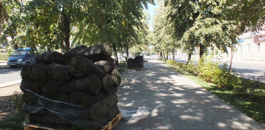 У центрі Черкас озеленюють бульвар Шевченка