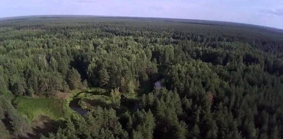 Пожежі у черкаських лісах вистежують із висоти пташиного польоту