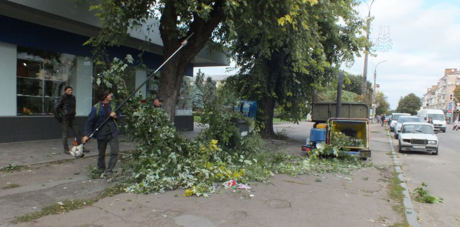 У центрі Черкас здійснюють обрізку дерев