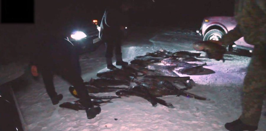 Черкаськими правоохоронцями на Дніпрі затримано зухвалих браконьєрів