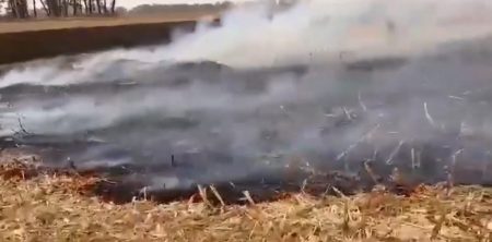 За добу рятувальники ліквідували масштабні пожежі сухої трави та стерні