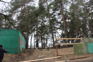 В Черкасах знов нищать ліс