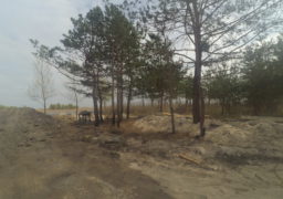 В районі дахнівської дамби активісти виявили незаконну забудову берега Дніпра