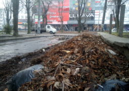 Навпроти ТЦ «Любава» купу з опалого листя містяни перетворили на стихійне сміттєзвалище