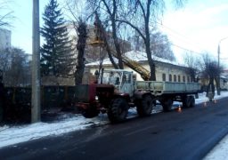 На бульварі Шевченка ліквідовують аварійні дерева