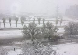 Метеостанція Золотоноша вранці 13 грудня зареєструвала налипання мокрого снігу діаметром 38 мм