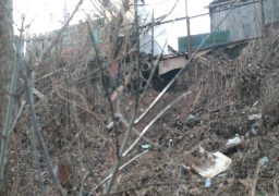 Власники домоволодінь на мальовничих схилах Дніпра зливають каналізацію прямо на вулицю