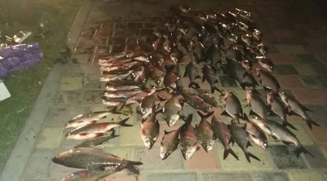 Поблизу річкового вокзалу у Черкасах упіймали порушника з рибою на 12 тисяч гривень