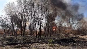 Липівський орнітологічний заказник, пожежа,