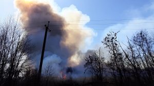 Липівський орнітологічний заказник, пожежа,
