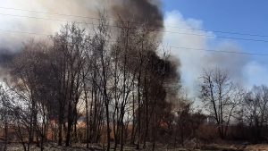 Липівський орнітологічний заказник, пожежа,