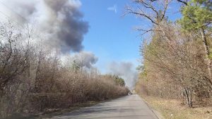 Липівський орнітологічний заказник, пожежа,