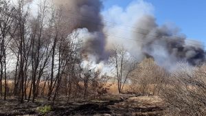 Липівський орнітологічний заказник, пожежа,