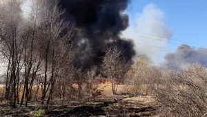 Липівський орнітологічний заказник, пожежа,
