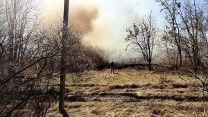Липівський орнітологічний заказник, пожежа,