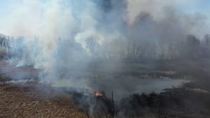 Липівський орнітологічний заказник, пожежа, дрон,