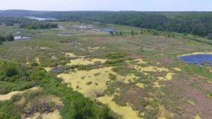 За умов спекотної погоди підвищується рівень пожежної небезпеки. Для раннього виявлення загорань рятувальники здійснюють патрулювання. Наразі з допомогою квадрокоптера було проведено рейд у місцях залягання покладів торфу навколо селища Ірдинь.