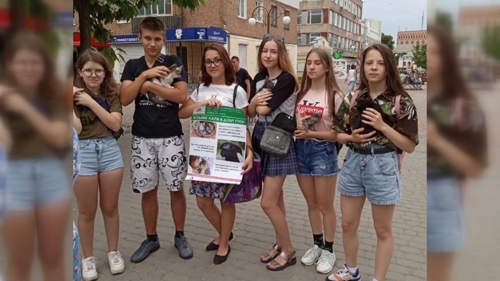 «Візьми лапи в добрі руки»: сміляни шукають нових господарів для братів наших менших