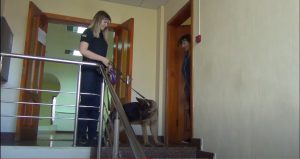 Черкаські рятувальники долучилися до всеукраїнської акції "Візьми собаку на роботу"