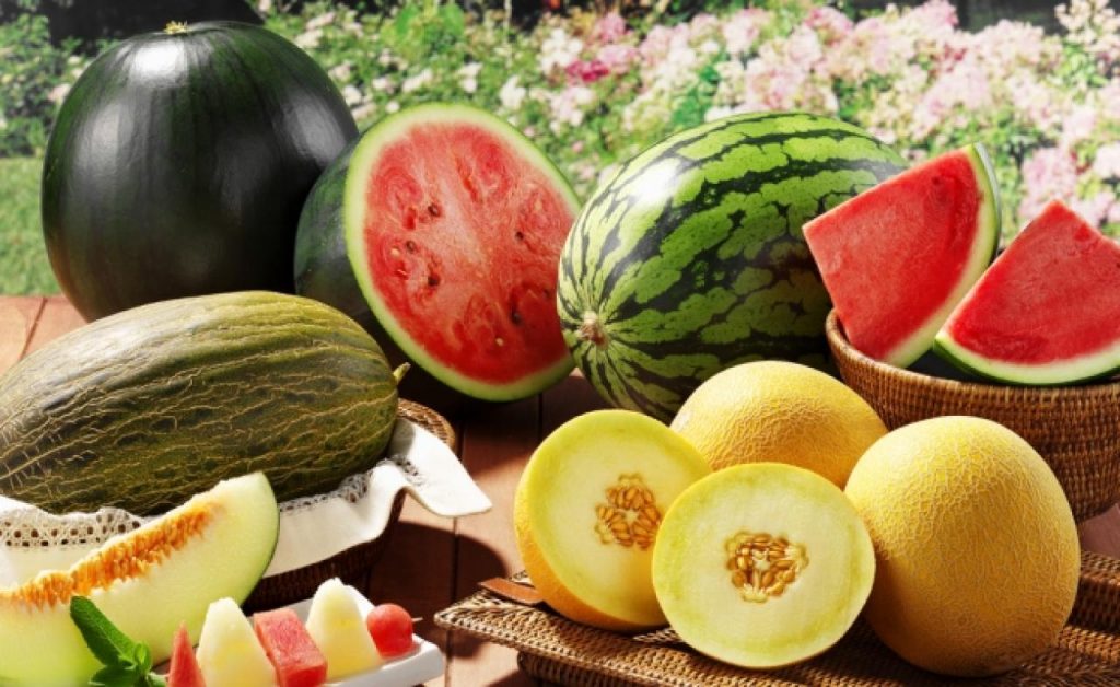 кавуни, торгівля, баштанні, Черкаси,
