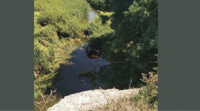 На Уманщині медики рятували чоловіка, який на автомобілі заїхав у річку