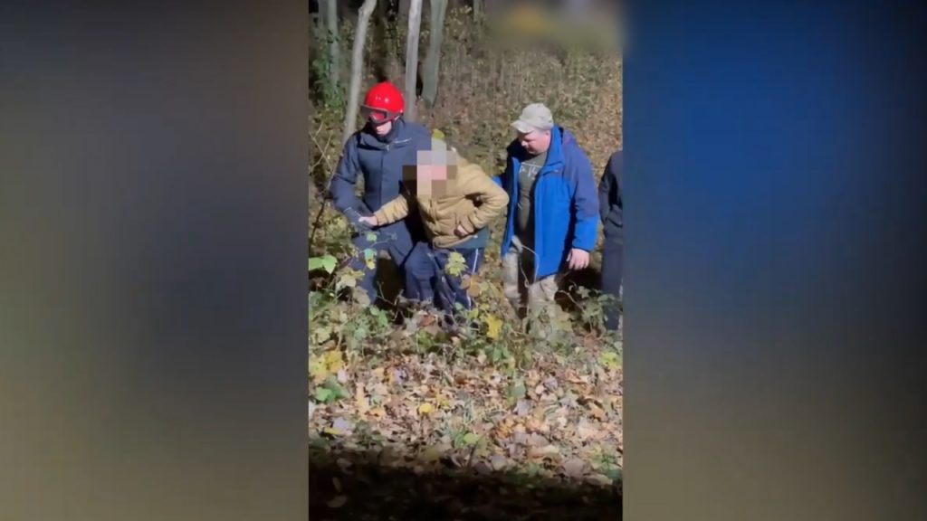 у лісі заблукала жінка