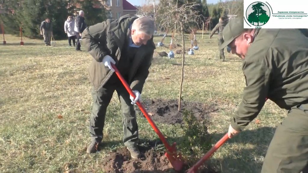 Смілянські лісівники створюють дендропарк