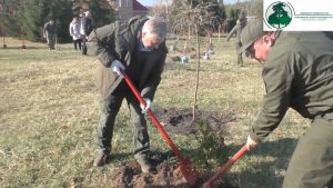 Смілянські лісівники створюють дендропарк