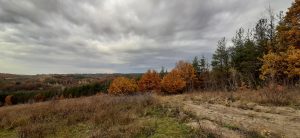 сомалі для браконьєрів